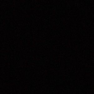 Meet your Posher, Riley